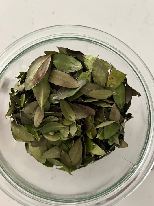 Yaupon Holly